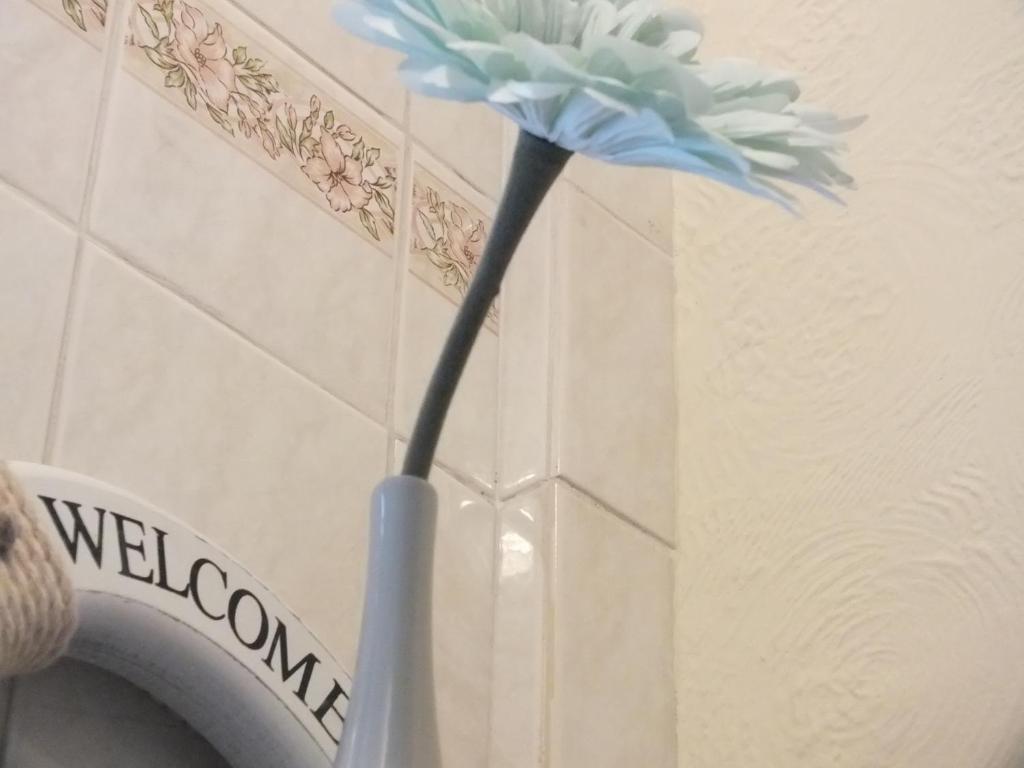 Leonardos Guest House Swansea Szoba fotó